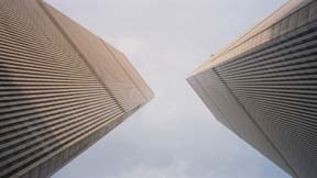 twins.JPG (7638 bytes)